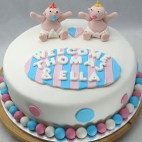 Baby Shower Cake - Twin Baby Shower Cake